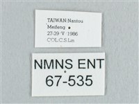 銀端帶鉤蛾藏品圖，第3張