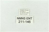 連珠波紋蛾藏品圖，第3張