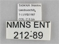 登錄號:000212-00089藏品圖，第3張