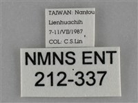 登錄號:000212-00337藏品圖，第3張