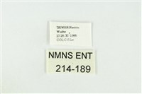 黑翅黃毒蛾藏品圖，第3張