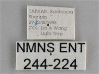 登錄號:000244-00244藏品圖，第3張