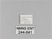 馬尾松枯葉蛾藏品圖，第3張