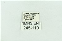 菊池污燈蛾藏品圖，第3張