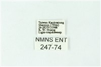 三色豔苔蛾藏品圖，第3張