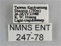 登錄號:000247-00078藏品圖，第3張