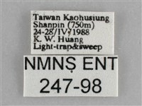 登錄號:000247-00098藏品圖，第3張