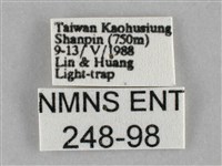 登錄號:000248-00098藏品圖，第3張