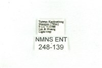 乳白斑燈蛾藏品圖，第3張