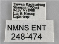 扁刺蛾藏品圖，第3張