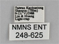扁刺蛾藏品圖，第3張