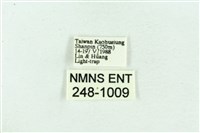 菊池污燈蛾藏品圖，第3張