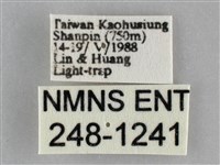 眉原褐刺蛾藏品圖，第3張