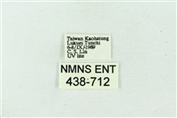 臺雪苔蛾藏品圖，第3張