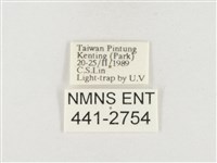 小白紋毒蛾藏品圖，第3張