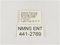 小白紋毒蛾藏品圖，第3張