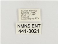 榕透翅毒蛾藏品圖，第3張