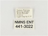 榕透翅毒蛾藏品圖，第3張