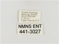 榕透翅毒蛾藏品圖，第3張