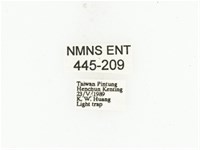 藍艷白點花金龜藏品圖，第2張