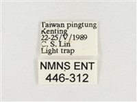 榕透翅毒蛾藏品圖，第3張