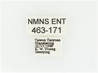 叉斑陷紋金龜藏品圖，第2張