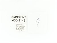 金艷騷金龜藏品圖，第2張