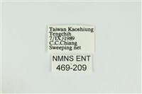 黑翅黃毒蛾藏品圖，第3張