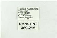 臺洒波紋蛾藏品圖，第3張