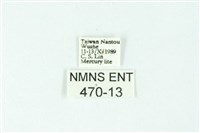 三色豔苔蛾藏品圖，第3張