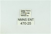 黑翅黃毒蛾藏品圖，第3張