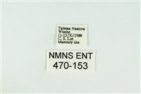 黑翅黃毒蛾藏品圖，第3張