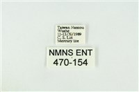 寬紋黃毒蛾藏品圖，第3張