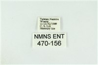 黑翅黃毒蛾藏品圖，第3張