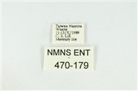 黑翅黃毒蛾藏品圖，第3張