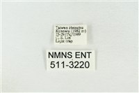 印華波紋蛾藏品圖，第3張