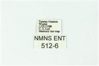 三色豔苔蛾藏品圖，第3張