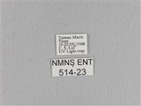 松大毛蟲藏品圖，第3張