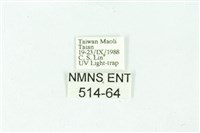 三條橙燈蛾藏品圖，第3張