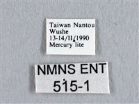 長尾水青蛾藏品圖，第3張