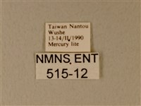 白粉蝶、紋白蝶藏品圖，第3張
