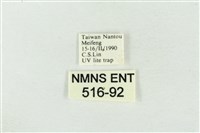 素木氏美波紋蛾藏品圖，第3張