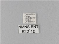 緣斑枯葉蛾藏品圖，第3張