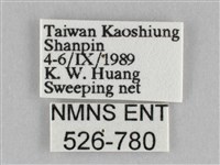 橙擬燈蛾藏品圖，第3張