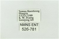 基褐綠刺蛾藏品圖，第3張