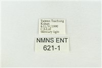 圍異波紋蛾藏品圖，第3張