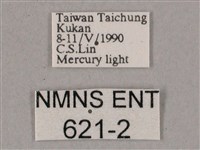 榆綠天蛾藏品圖，第3張