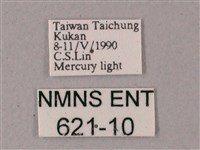 蒙古白肩天蛾藏品圖，第3張