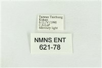 藕太波紋蛾藏品圖，第3張