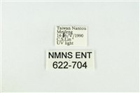 寬紋黃毒蛾藏品圖，第3張